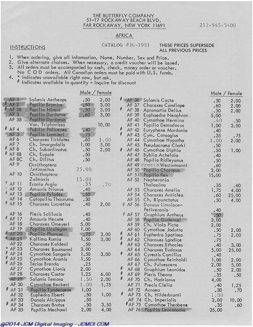 The Butterfly Company (NY) 4 Page catalog (1980-1981)